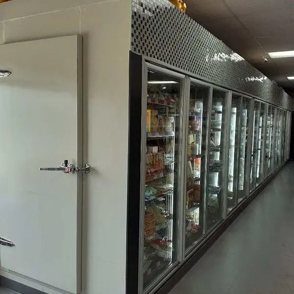 Best Professional China Beverage Cooler Walk In Freezer Cold Storage