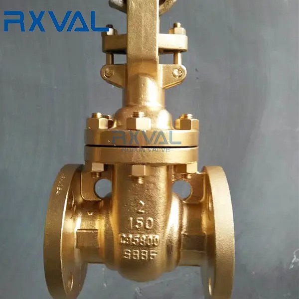 China Bronze Gate Valve Flange End Manufacturer and Supplier Ruixin