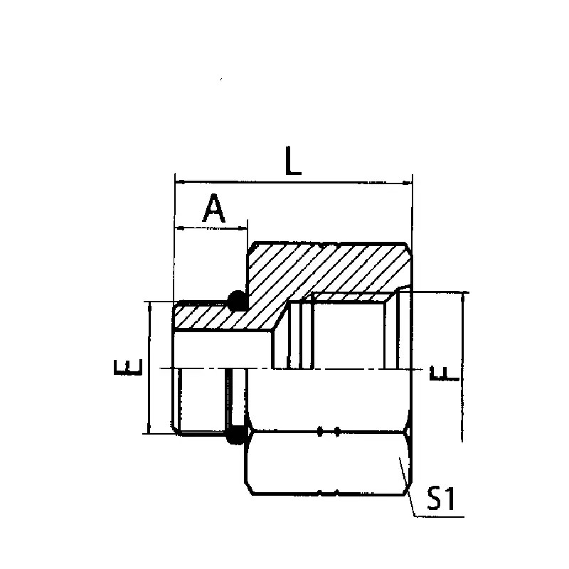 China Sae Oring Boss Lseries Iso 119263/ Sae Female Iso 119261