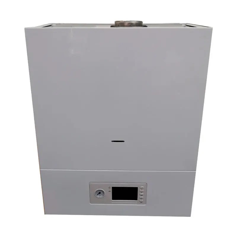 Wholesale Wall hung gas boiler A series Manufacturer and Supplier Spring