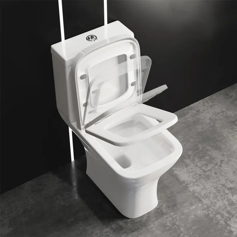 News - What is an elongated toilet