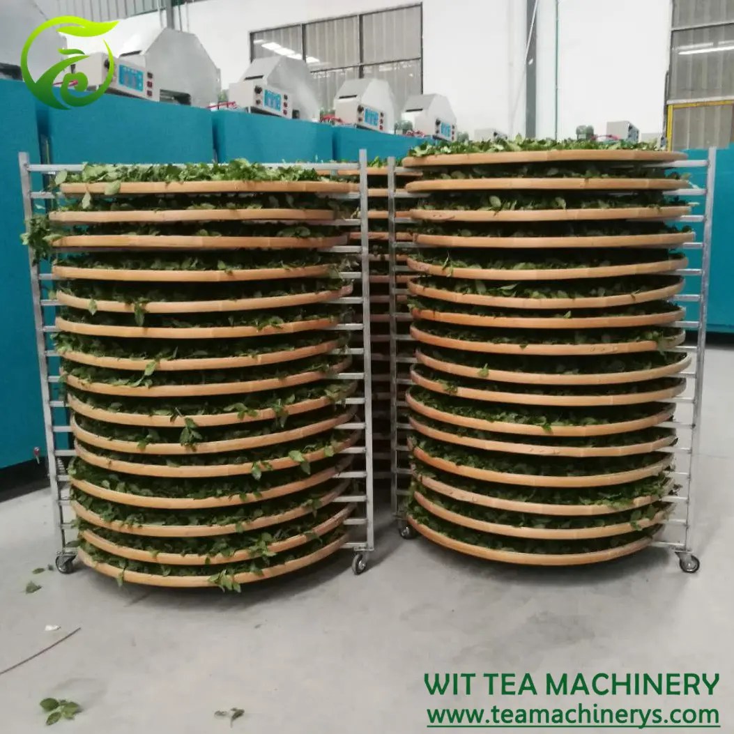OEM 20 Layers 110cm Bamboo Pallets Tea Wither Rack ZCTQJ20 factory