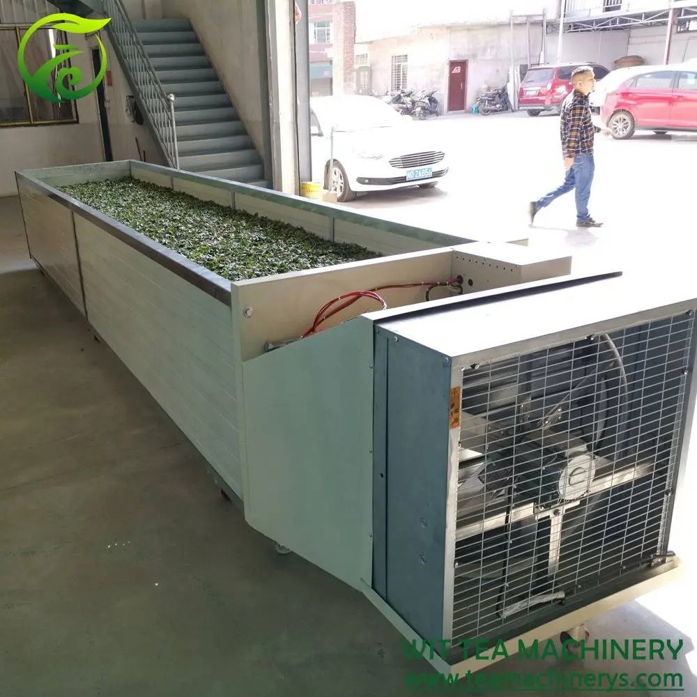 OEM High reputation White Tea Withering Rack 500cm Length 100cm Width