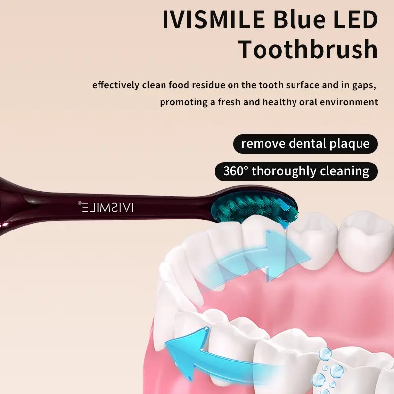 China Electric Toothbrush Rechargeable For Adults Factory