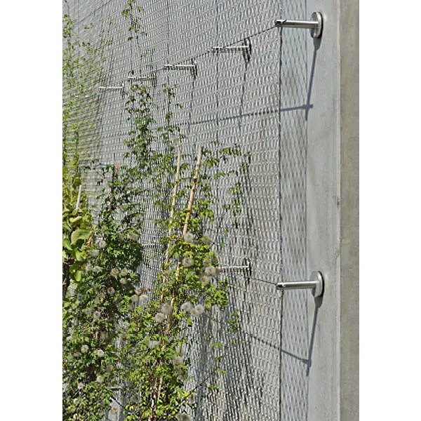 China Manufacturer for Garden Mesh For Climbing Plants Stainless