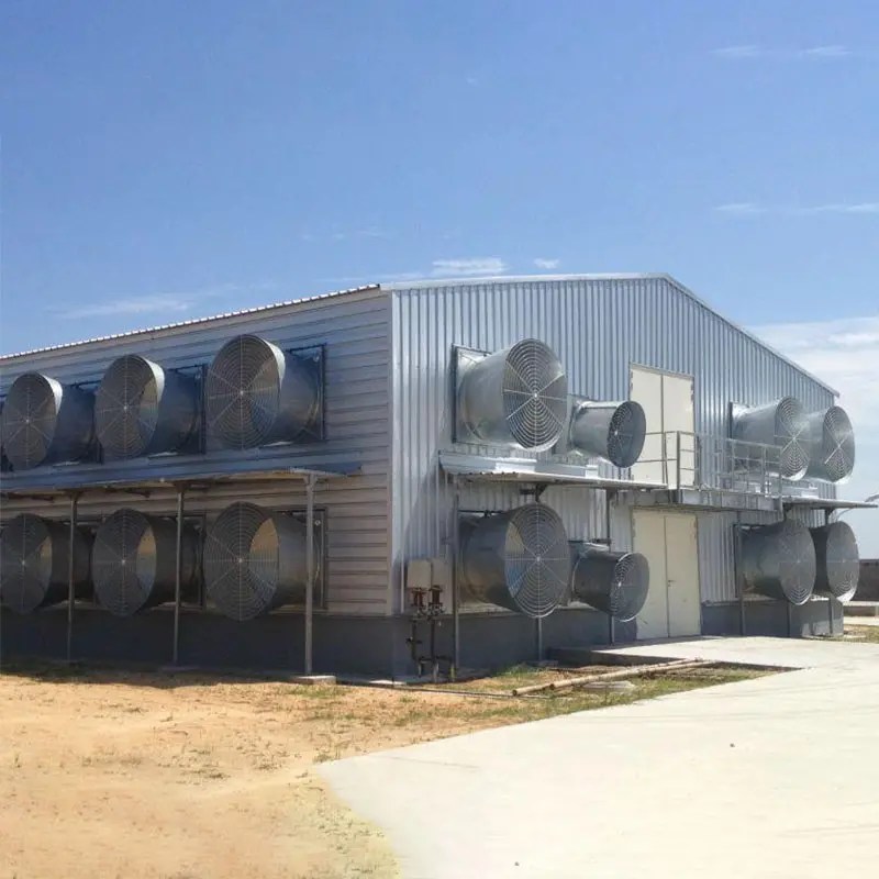 China Hot Sale Large Metal Modern Rain Resistance Steel Structure