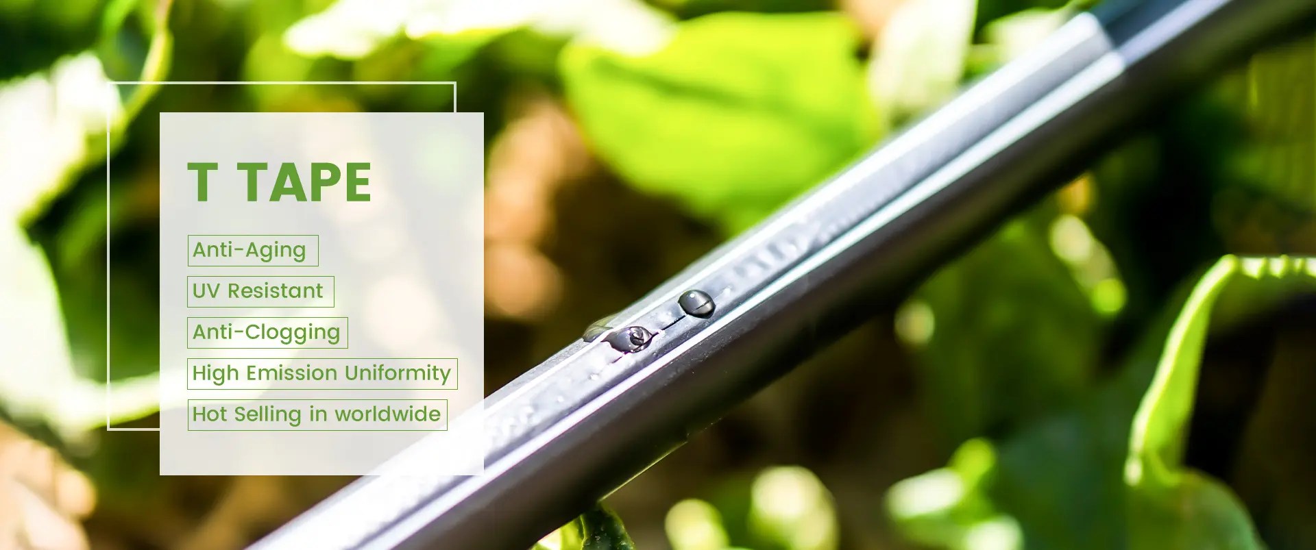 Drip Line, Drip Pipe, Drip Tape Yida