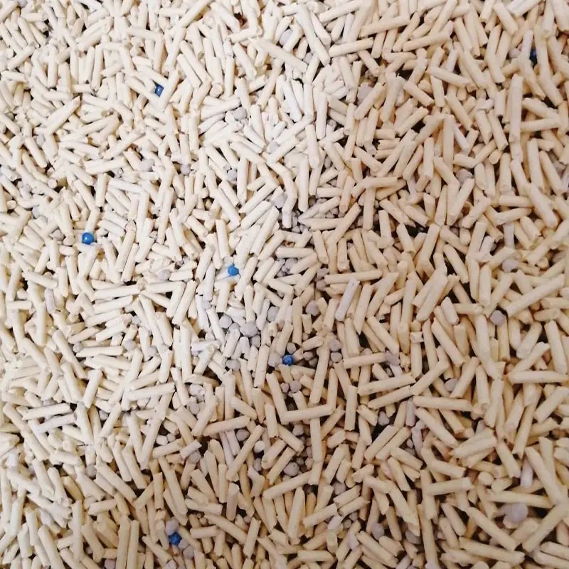 China Cat Cookies Suppliers and Manufacturers, Factory Sunnor