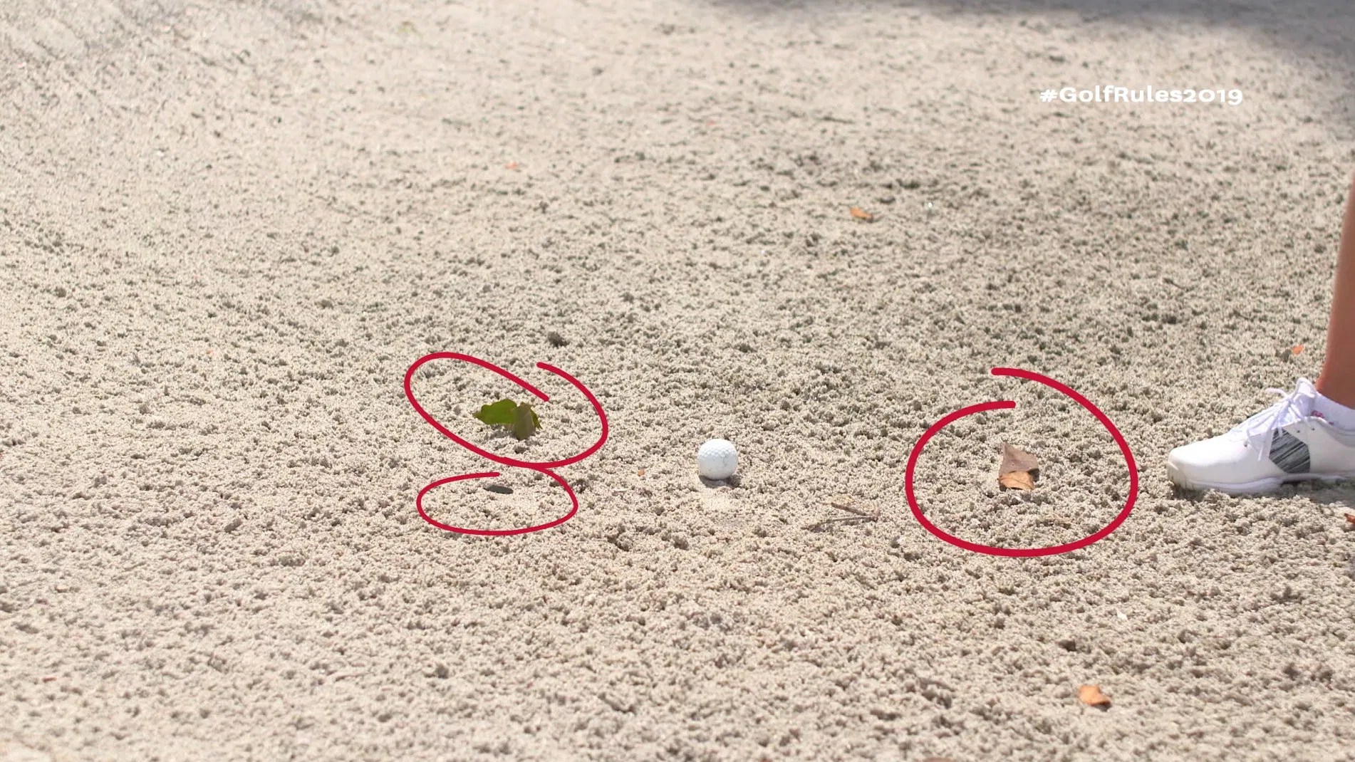 Golf Rules 2019 You can now GROUND your club in a hazard... Golfmagic