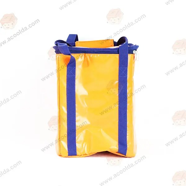 China Factory For Delivery Bag Backpack Mini Cooler Bags for Hand