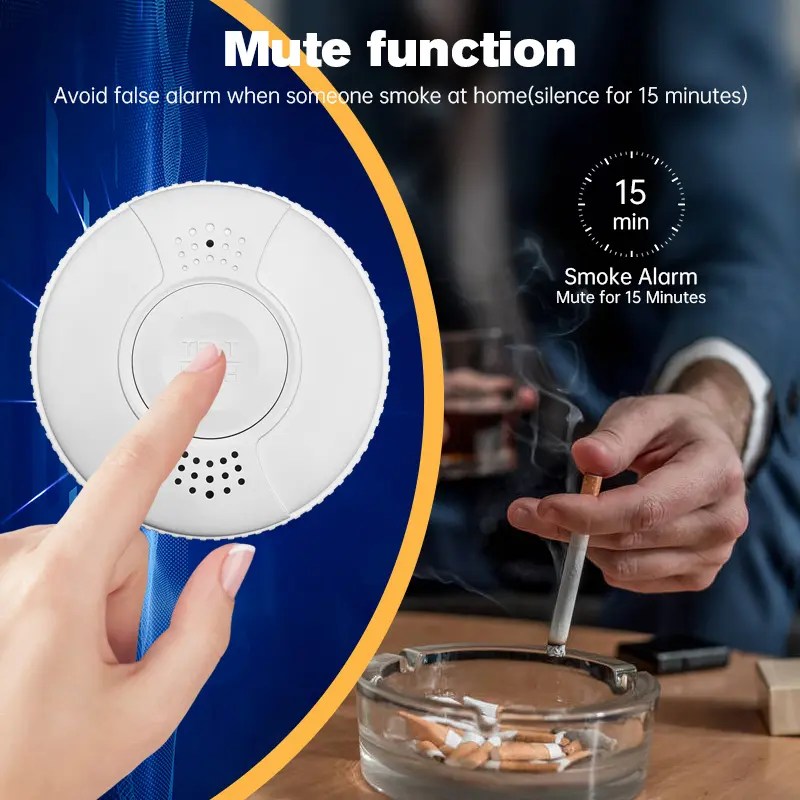 China Home Smoke Leak Security Sensor Battery Operated Wireless