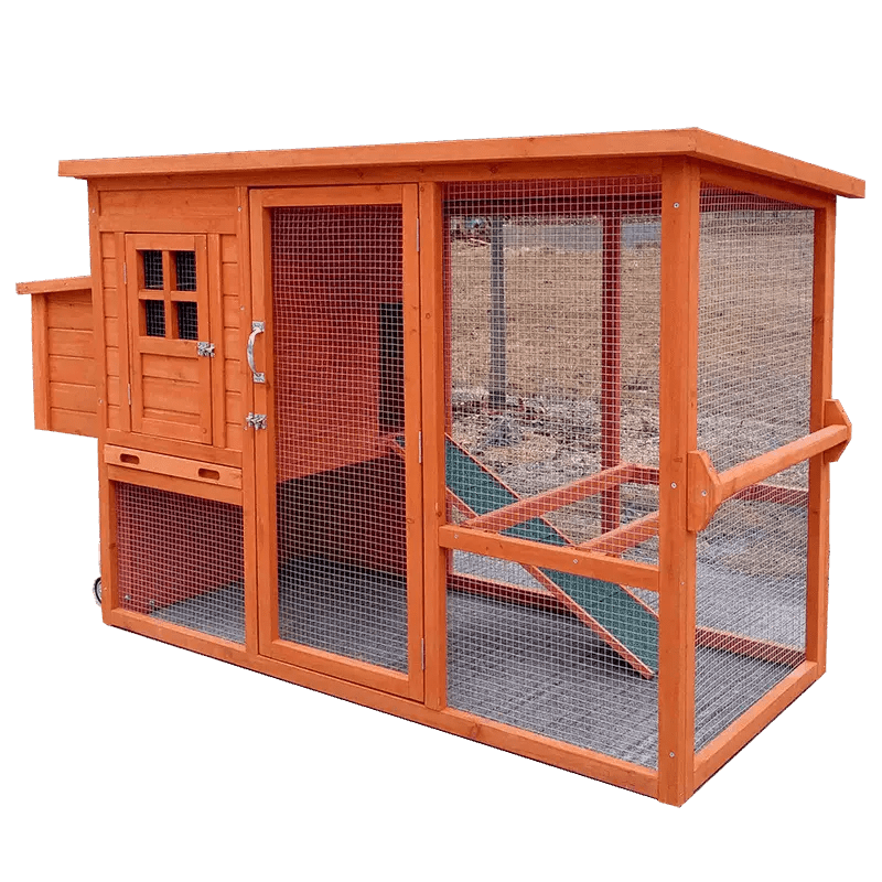 China Outdoor Large Chicken Coop with Single Nest Box Manufacturer and