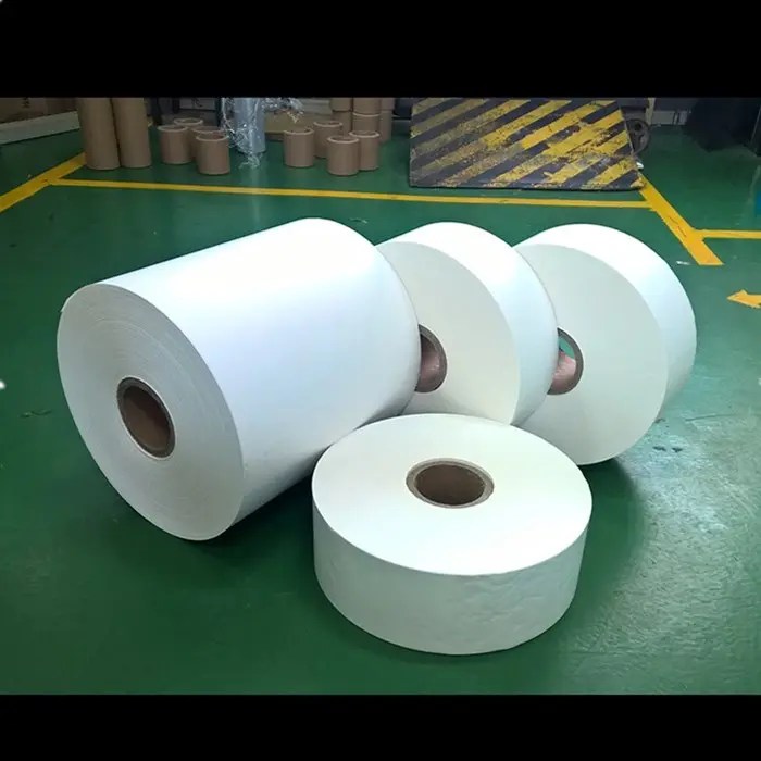 Biodegradable Materials and Products Supplier Fancyco