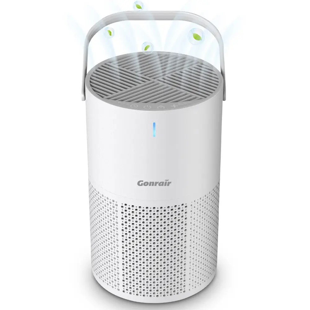 Home air purifier