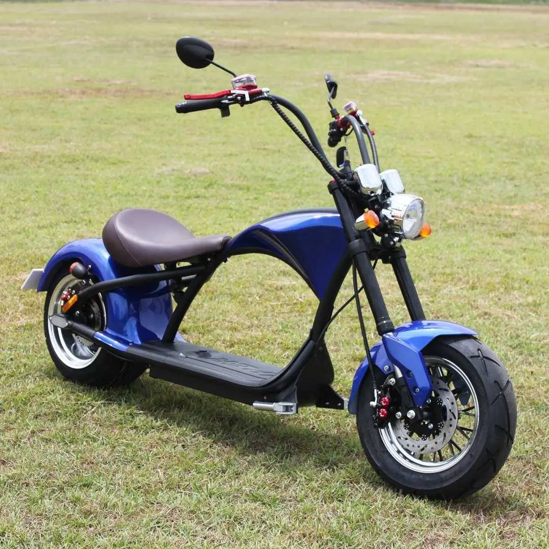 Big Wheel Electric Scooter