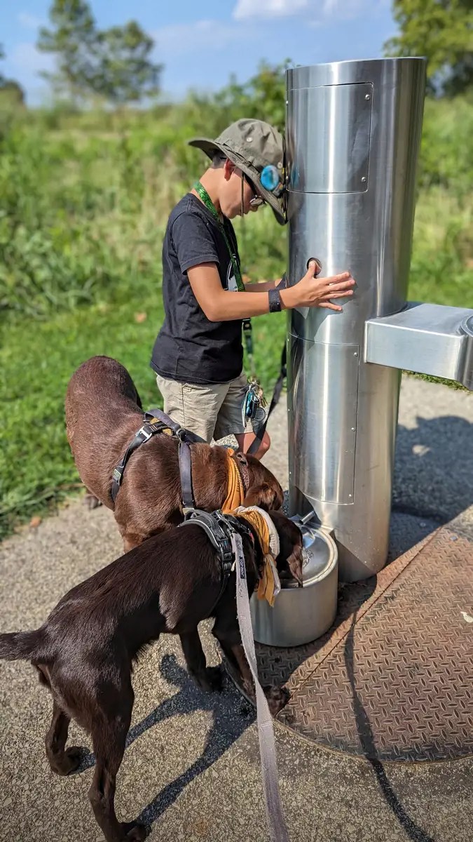 Dogs Valley National Historic Park GoodDogTrips