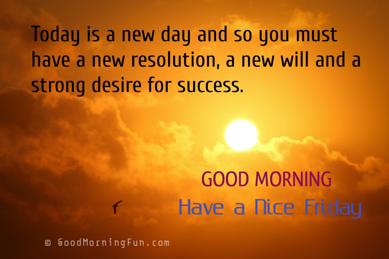 100 Motivational Good Morning Friday Quotes & Wishes