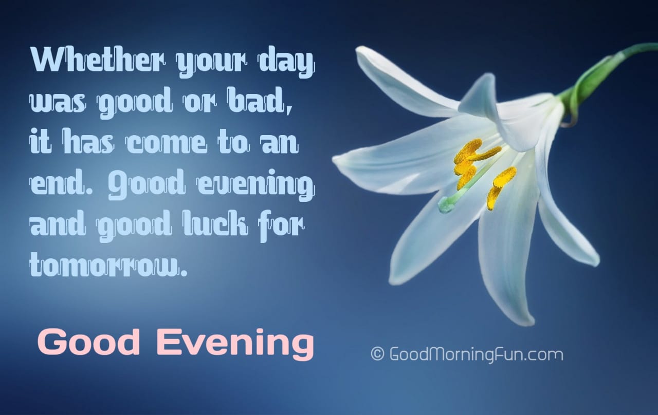 Cute Good Evening Quotes With HD Images Greetings Good Morning Fun