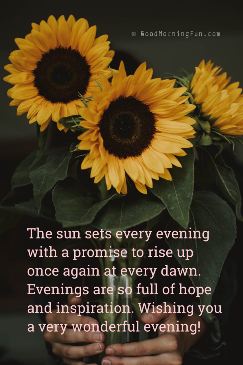 Good Evening Flowers Wishes Good Morning Fun
