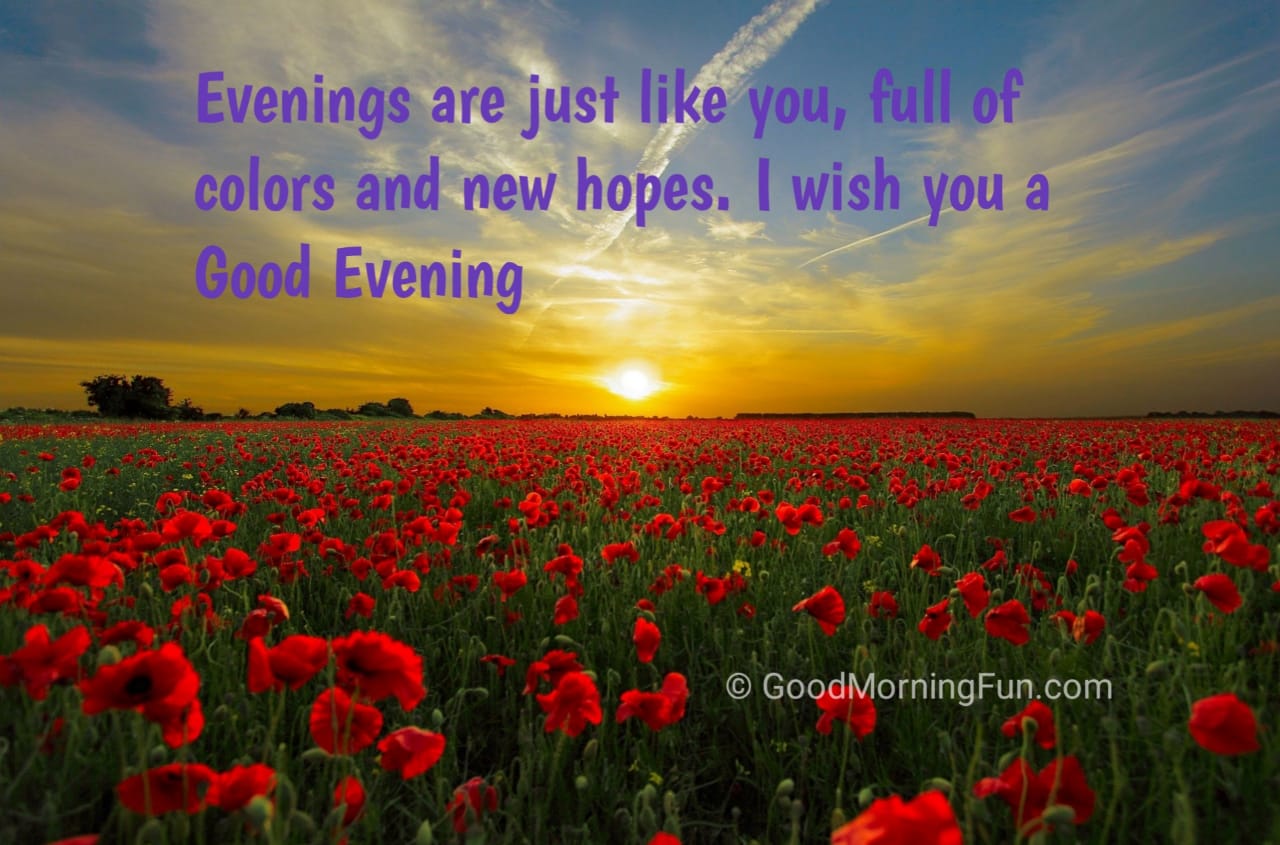 Good Evening Flowers Wishes Good Morning Fun