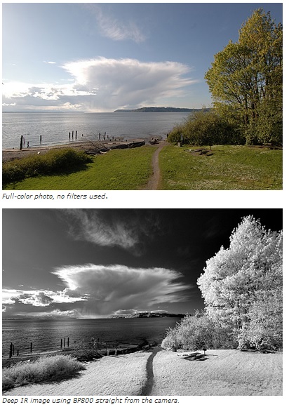 Midwest Optical BP800-40.5, NIR, Bandpass filter, 745 to 950 nm, filter