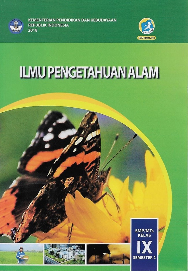 Mengenal 14 Organ Sistem Pernapasan Manusia Dan Penyakitnya Gramedia