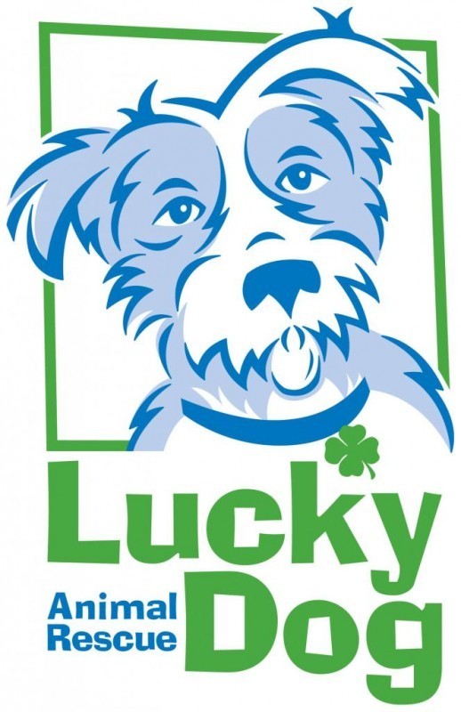 Lucky Dog Animal Rescue nonprofit in Washington, DC Volunteer, Read