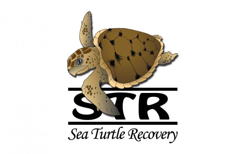 Sea Turtle Recovery Reviews and Ratings West Orange, NJ