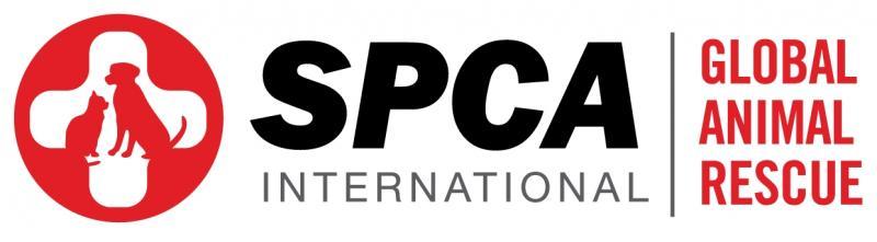 Spca International Reviews And Ratings | New York, Ny | Donate, Volunteer, Review | Greatnonprofits