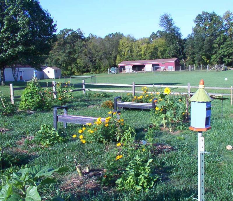 Childhelp Alice C Tyler Village Reviews and Ratings Lignum, VA