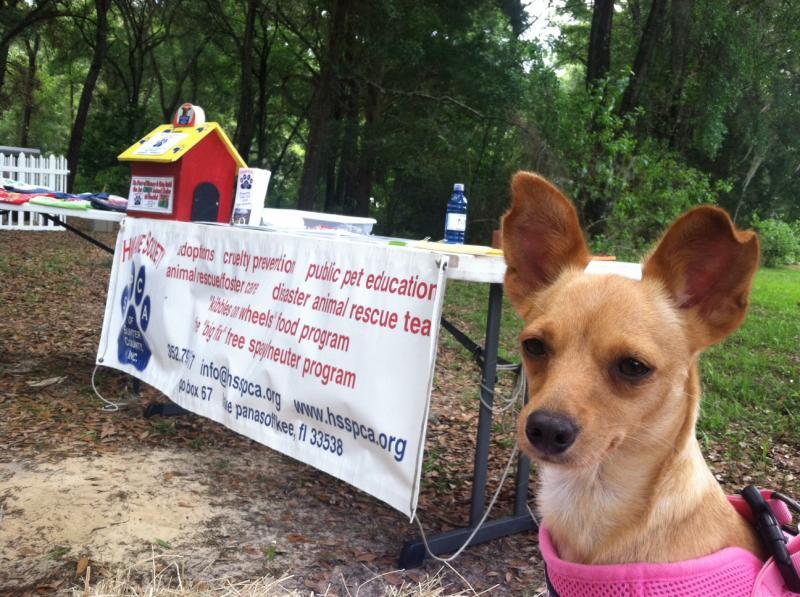 Humane Society SPCA of Sumter County Inc. Reviews and Ratings Lake