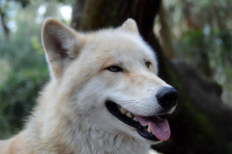 In Harmony With Nature animal haven Reviews and Ratings