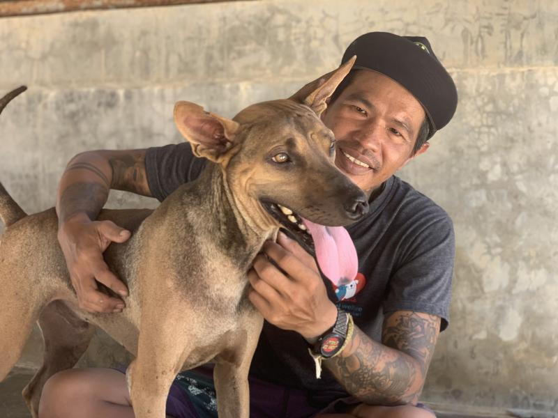 SPCA International Reviews and Ratings New York, NY