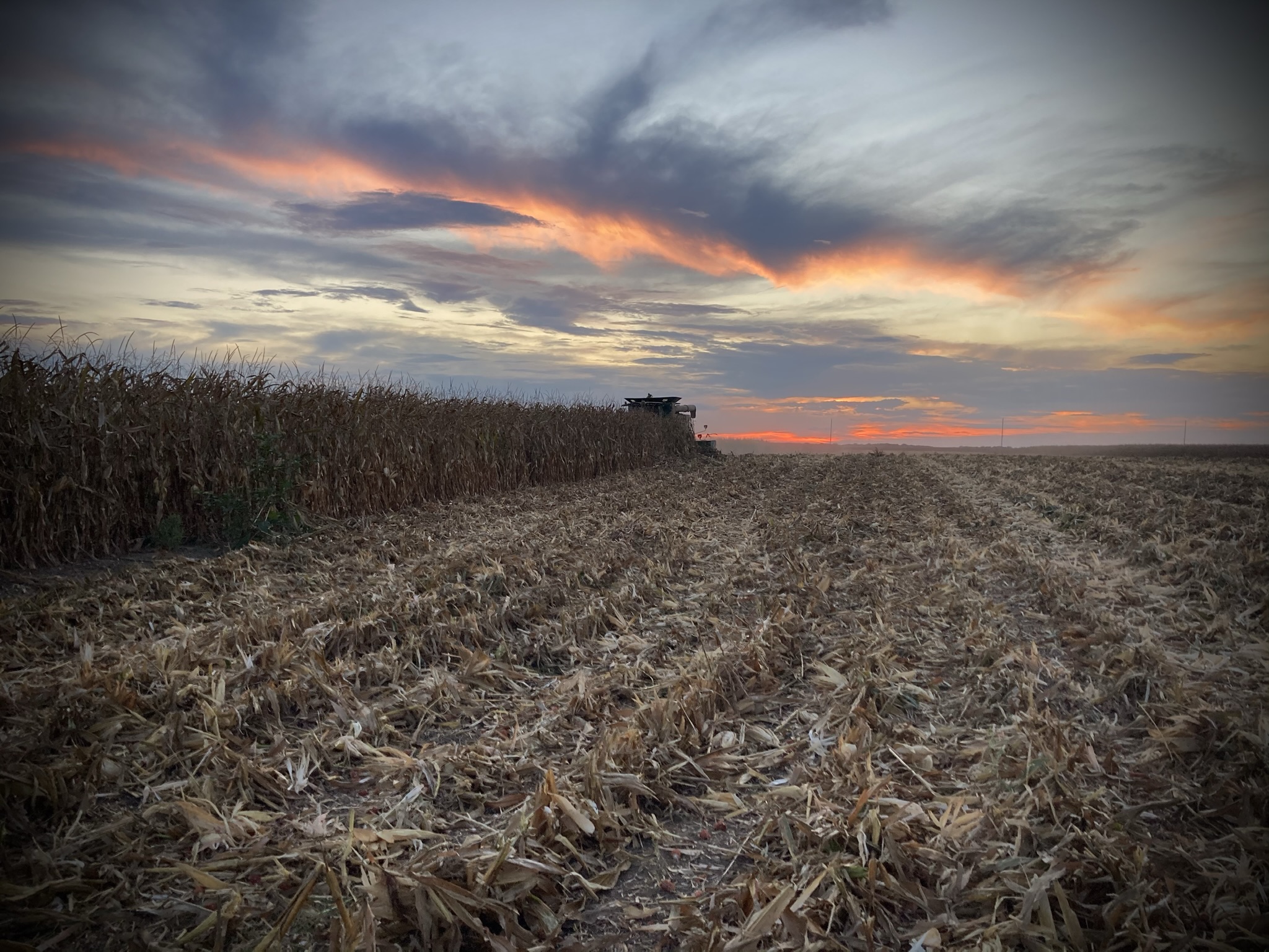 About | Greene Prairie Woodworks