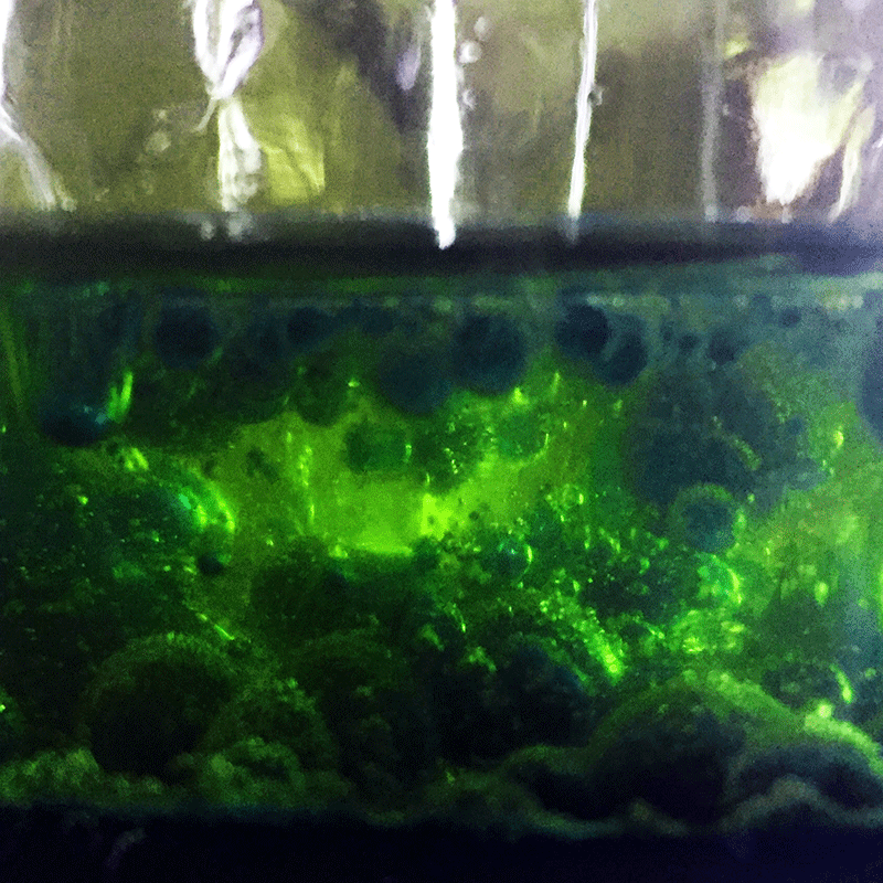 DIY Lava in a Jar Science Experiment Green Kid Crafts