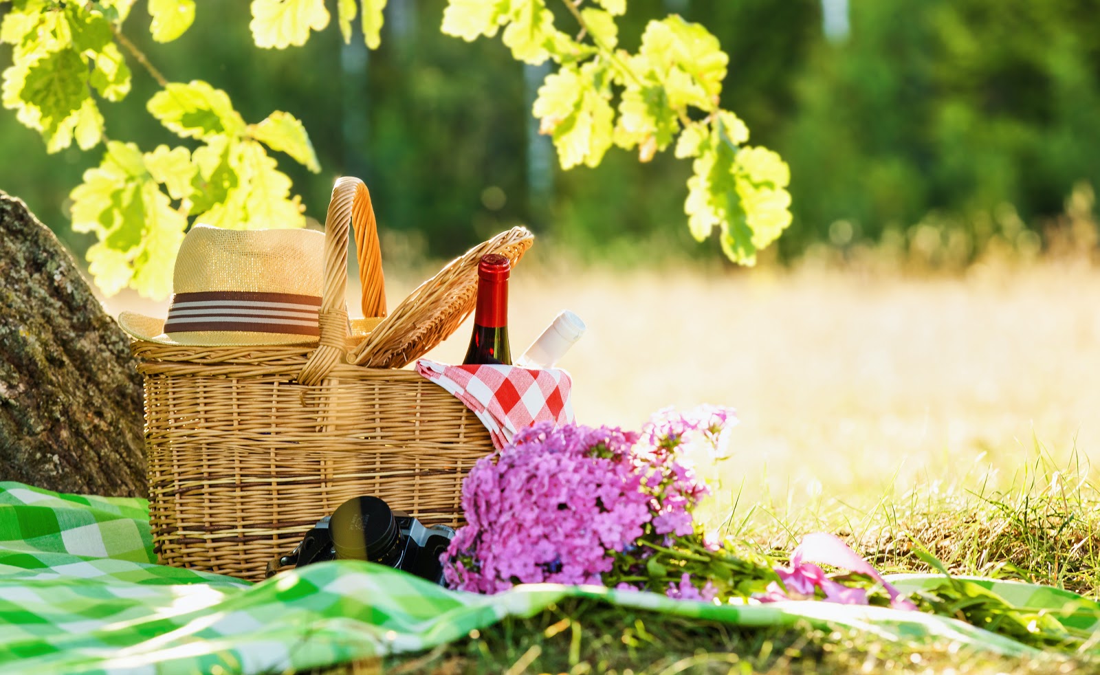 Backyard Picnic Ideas That Go Way Beyond Gingham STATIONERS