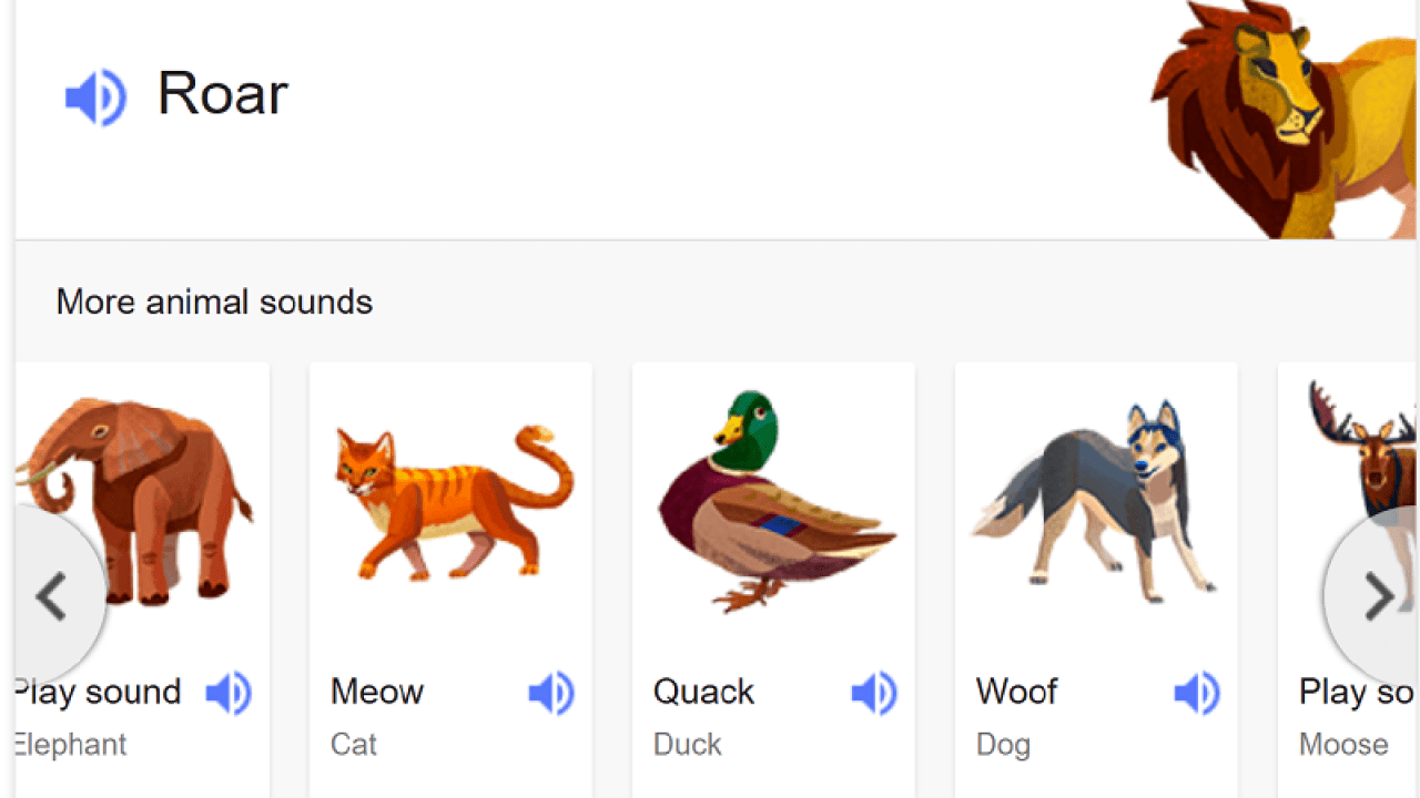 Top 138+ Animals images and sounds