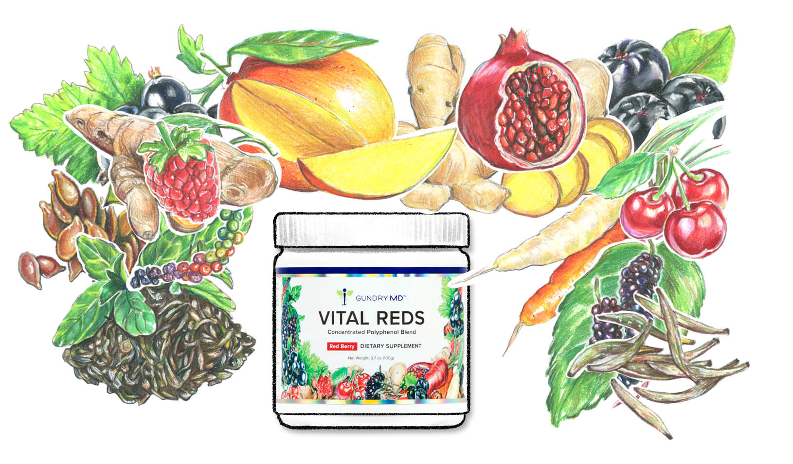 Polyphenols Polyphenol Guide Polyphenols Definition Dr. Gundry