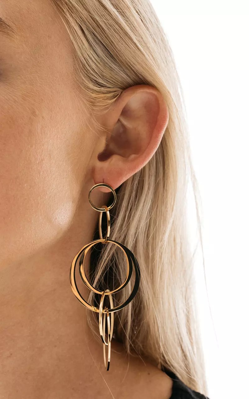 Stainless steel earrings Gold Guts & Gusto