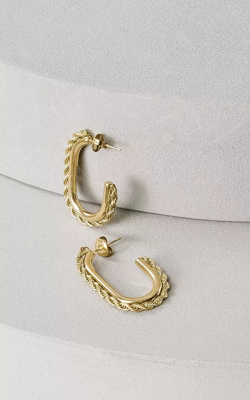 Stainless steel earrings Gold Guts & Gusto