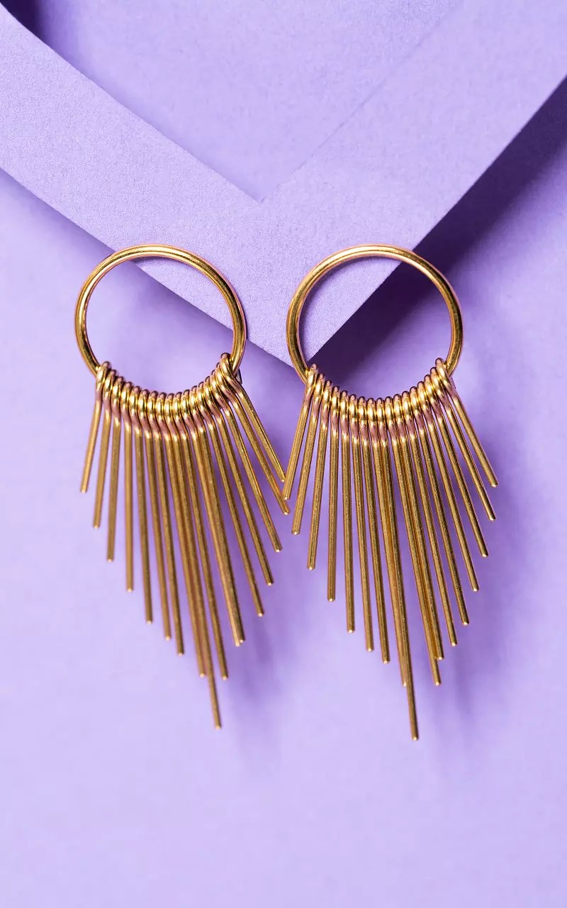 Stainless steel earrings Gold Guts & Gusto