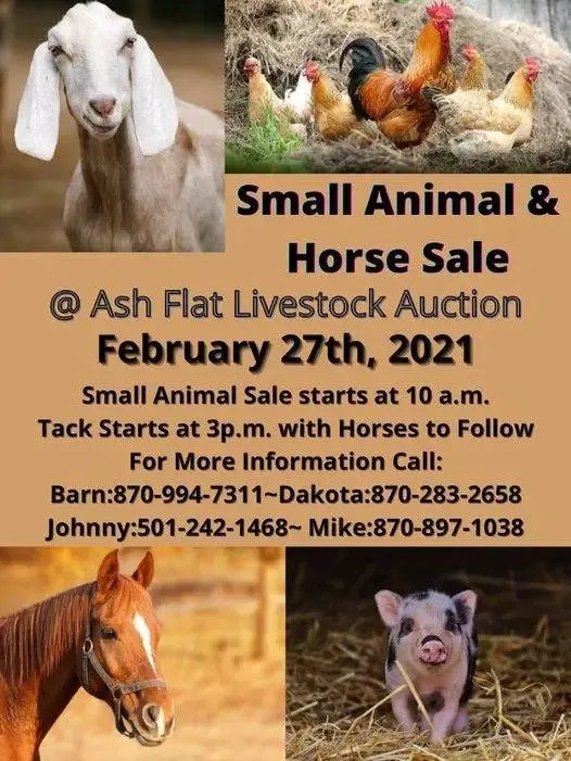 Small animal & horse sale Feb. 27 Hallmark Times