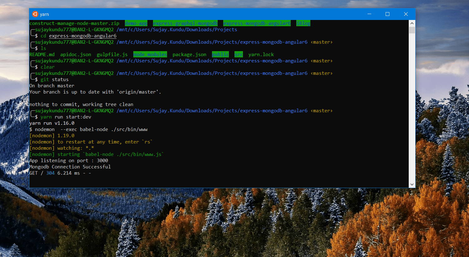 Customize Hyper Terminal in Windows using Oh My Zsh and Powerline Fonts Hashnode