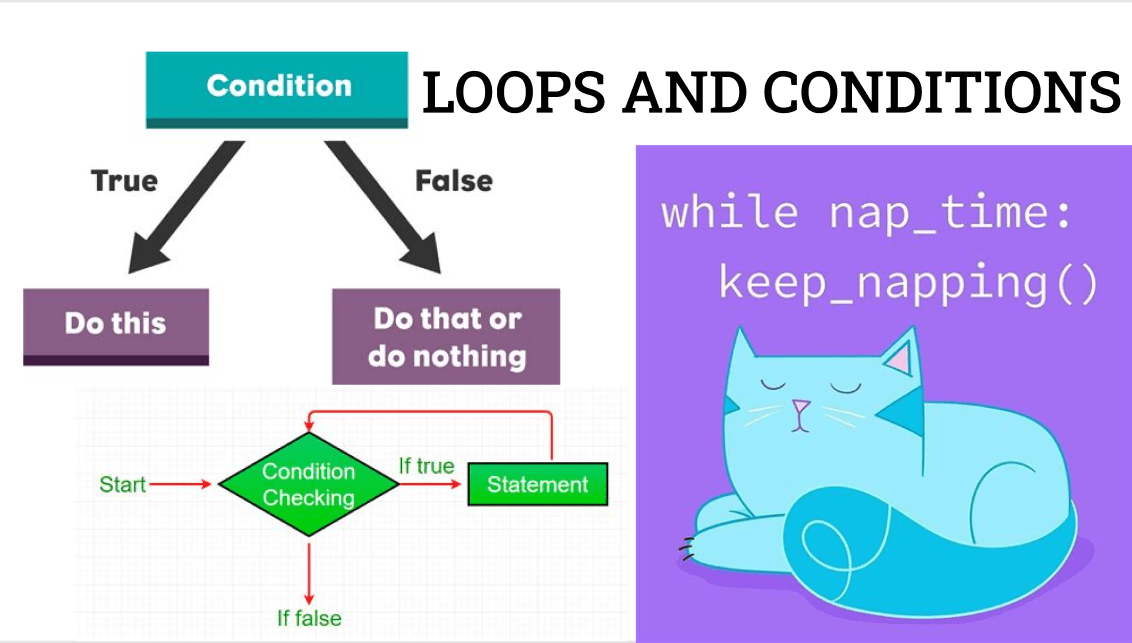 Basics of Programming Loops and Conditions