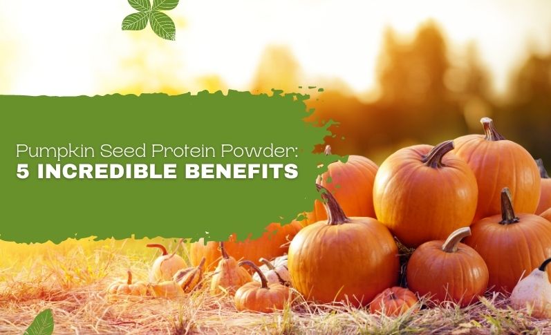 Pumpkin Seed Protein Powder 5 Incredible Benefits