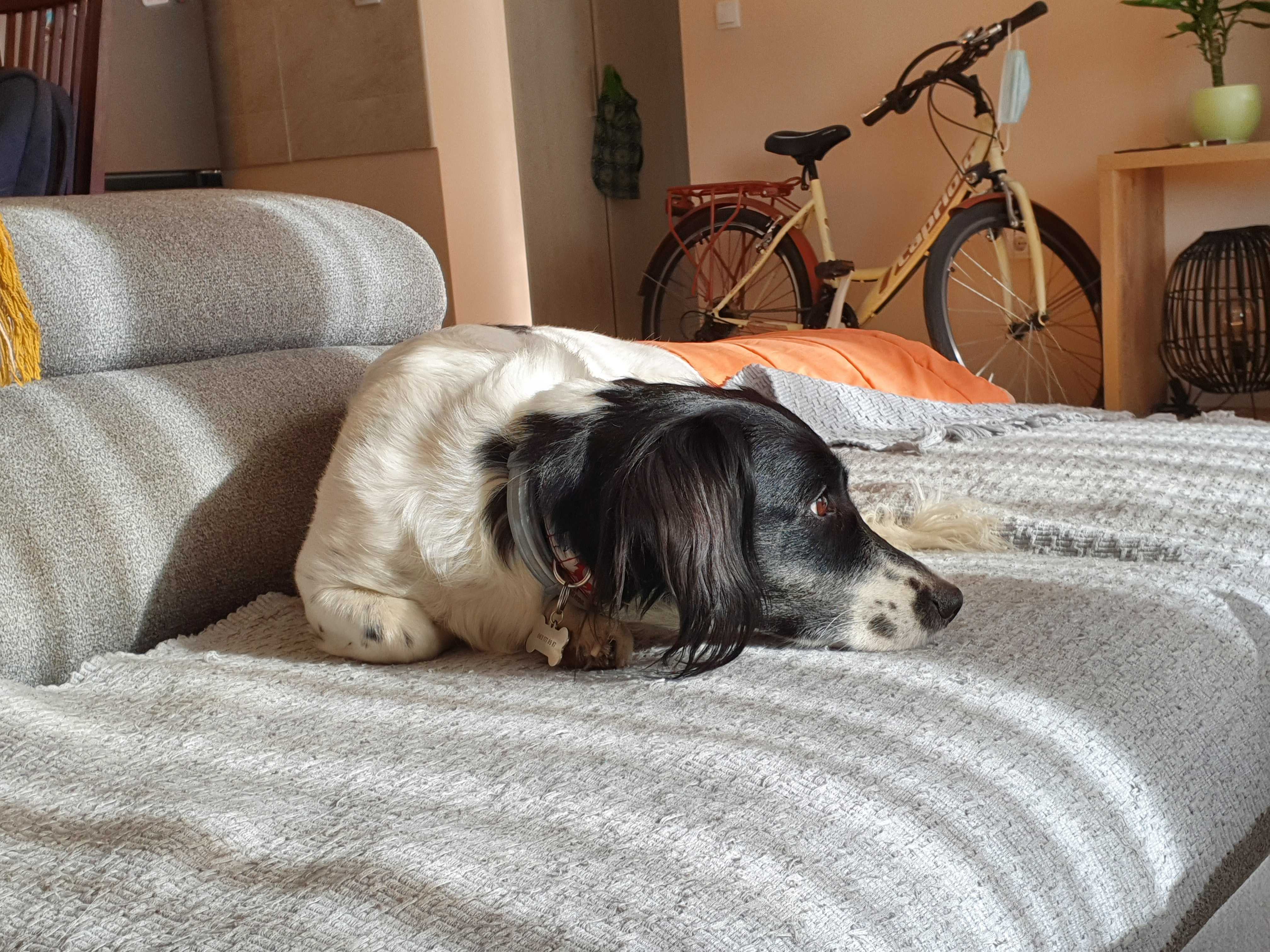 Don't Offer Me a Job That Requires Me To Relocate