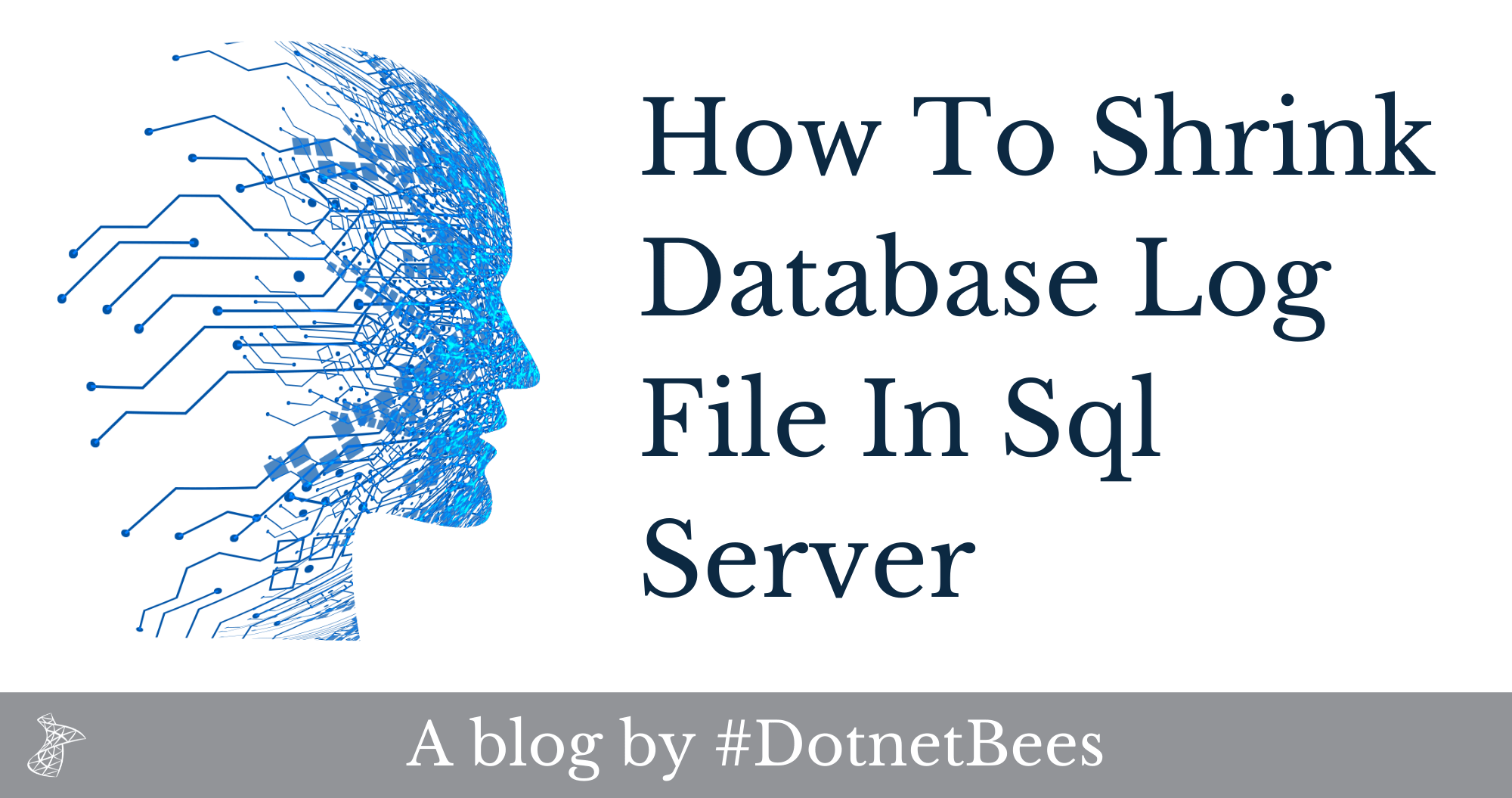 How To Shrink Database Log File In Sql Server