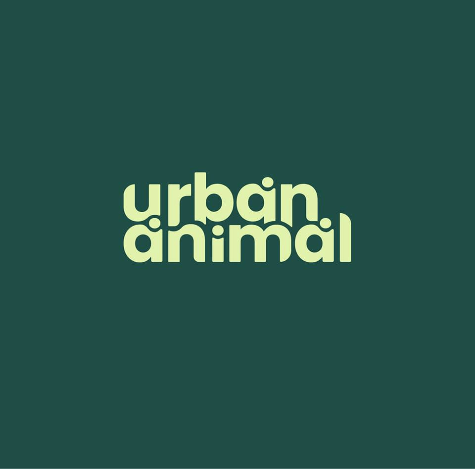 Urban Animal — Hashnode