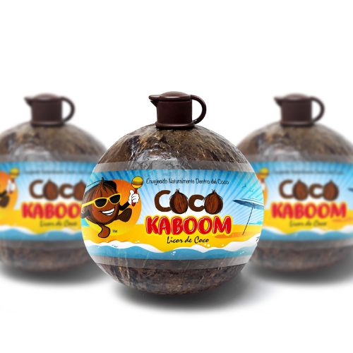 Why Coconut Beverage is the Ultimate Summer Drink?