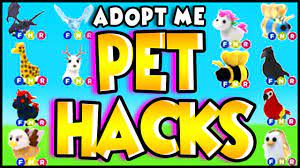 adopt me hack money generator — Hashnode